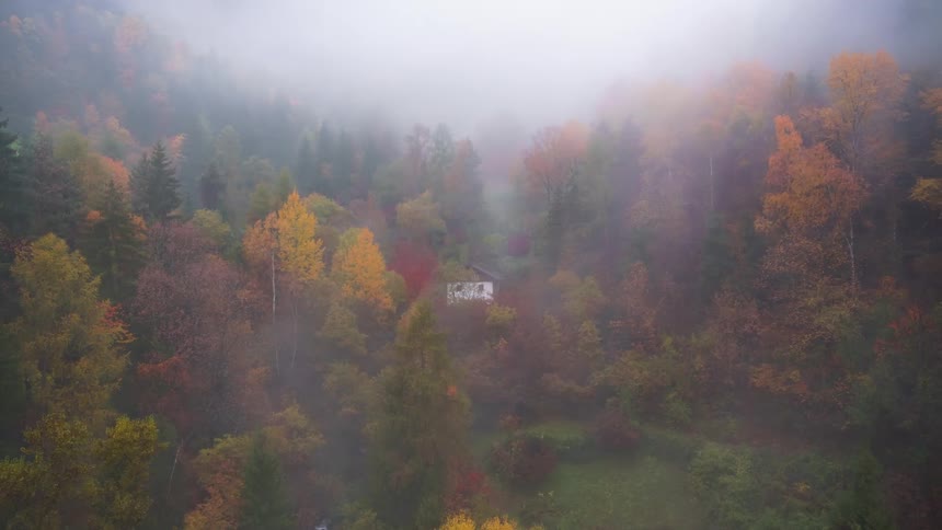 Autumn landscape with trees displaying leaves in shades of yellow and orange and a white house partially hidden under a fog