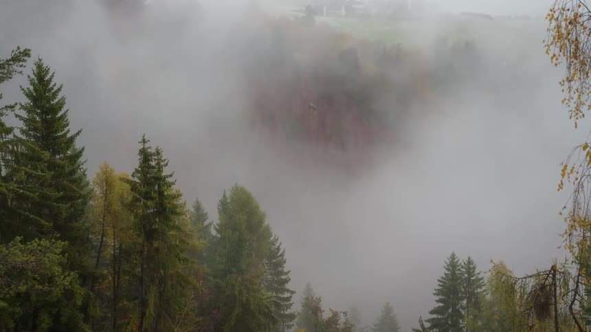 Dense fog taking over a forest in the mountains