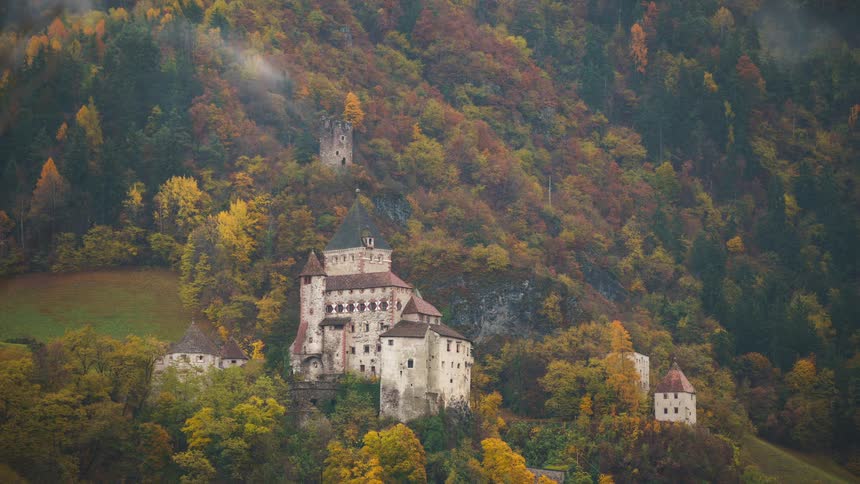A castle and outbuildings surrounded by a forest growing on the side of a mountain