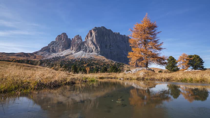 A small pond sits by grasslands a few trees with a giant mountain beyond
