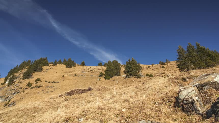 Mountainous landscape with a few scattered trees against a blue sky