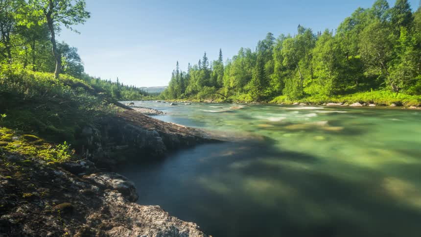 A river flows past forests on both banks