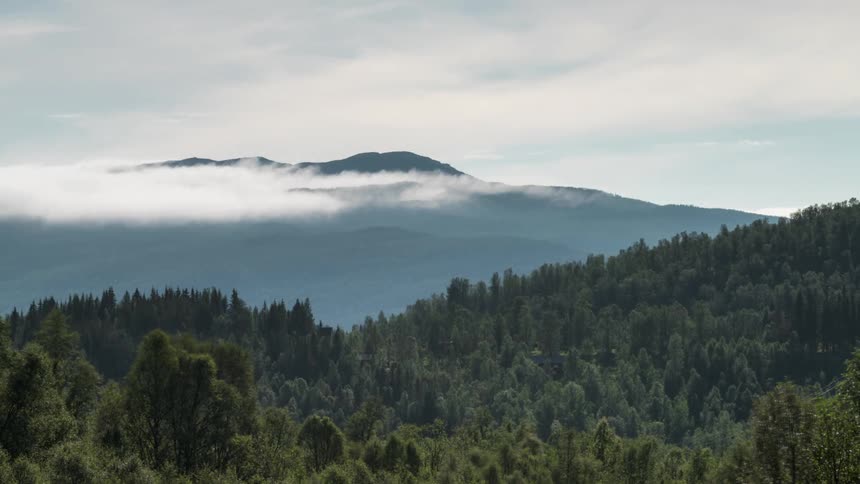 Time lapse of clouds rolling over a mountain peak next to a pine tree forest