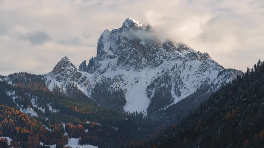 Landscape of conifers and snowcovered mountains with a cloudy sky