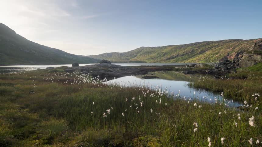 A landscape of a still lake reflecting the sky and there is a field of white flowers in front