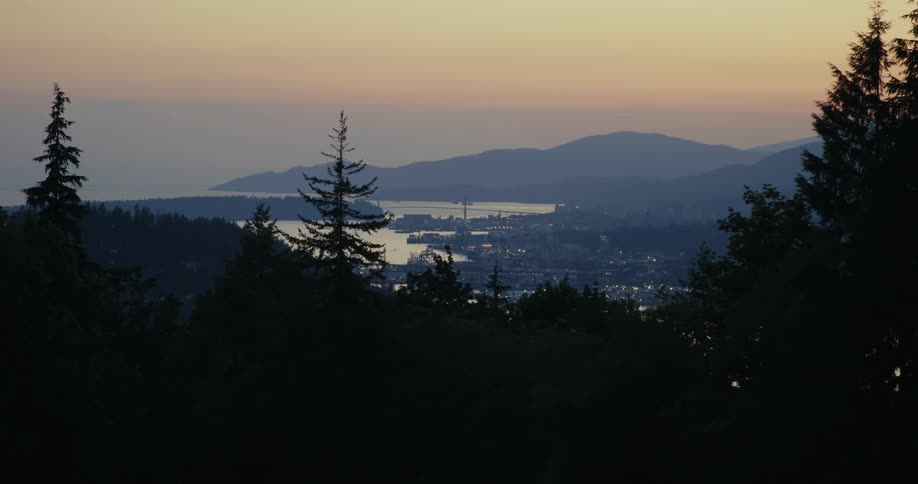 A large city and bridge on a coast near mountains and forests