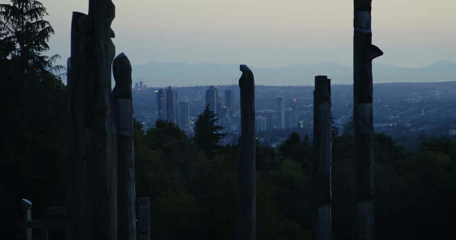 Silhouette of tree trunks in the foreground with an urban horizon in the background during twilight