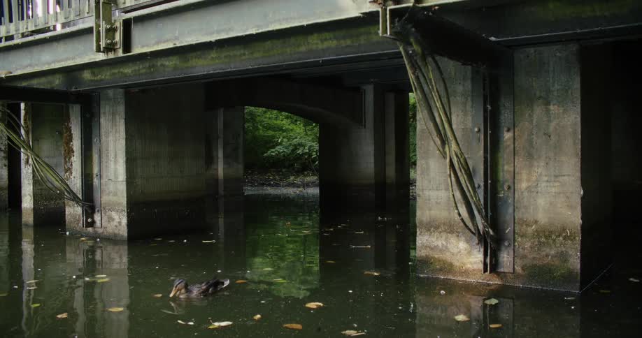 Water under a concrete bridge and there is a duck passing on the surface looking for food