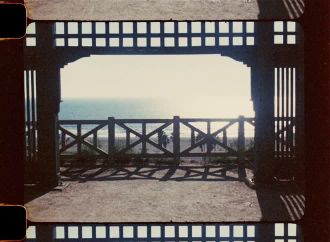 A structure and railing near a beach with palm trees