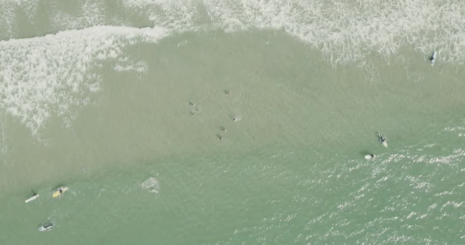Many people taking kayaks out on the ocean from a beach