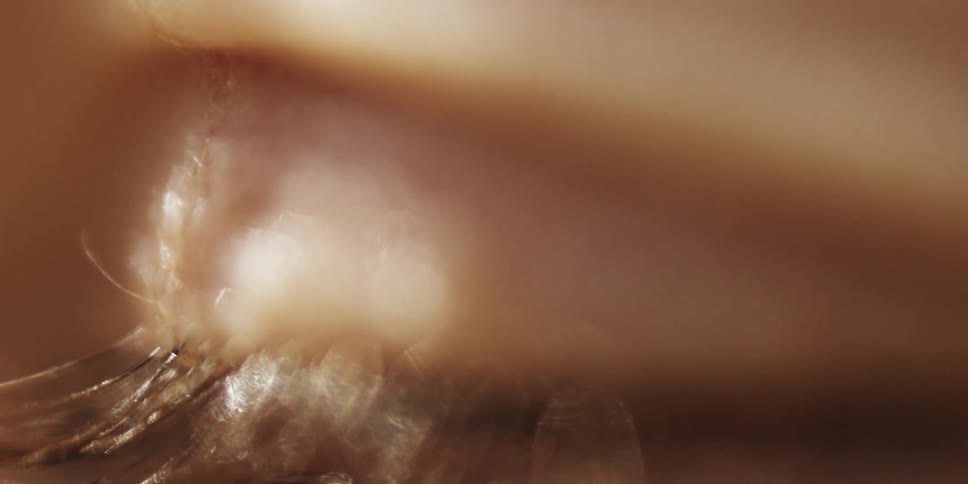 Extreme closeup of a persons eye closing and opening