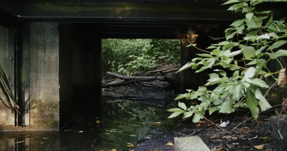 River water runs through a tunnel only to be stopped by a beaver dam