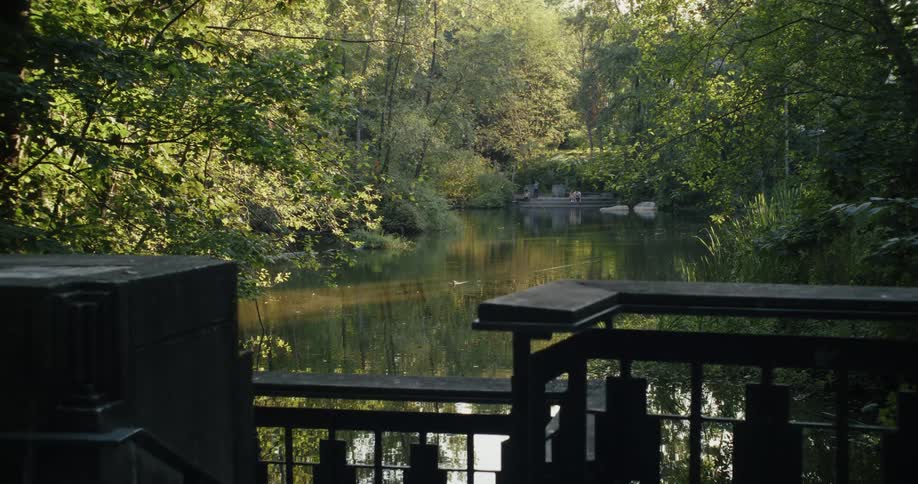A pond and forests on the banks beyond a railing
