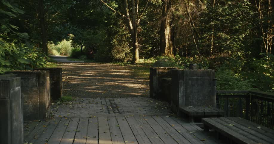 A wooden path gives way to a dirt area leading through a forest