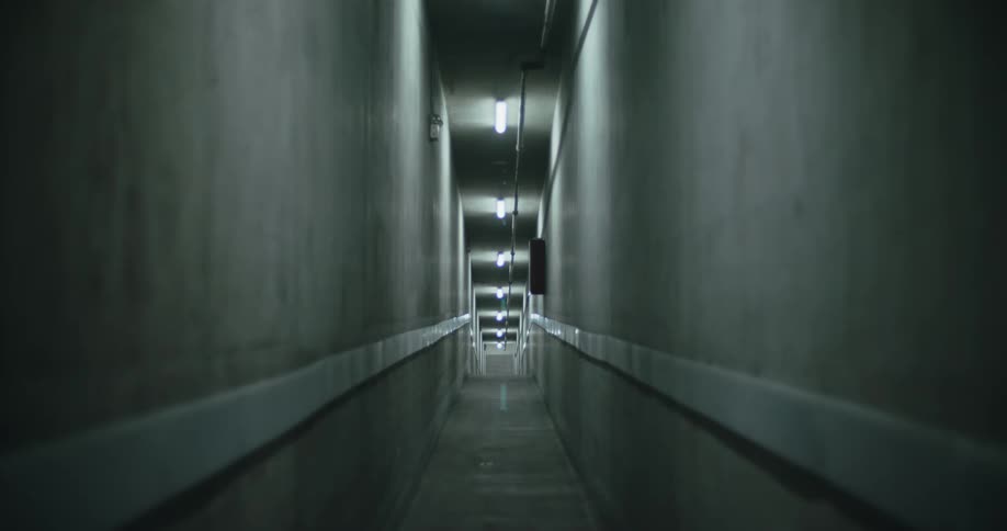 Line of ceiling lights illuminate a long narrow corridor