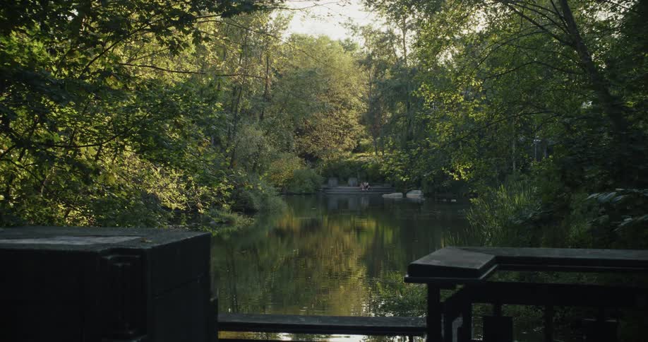 Peaceful landscape of a park with a lake surrounded by trees and dense vegetation