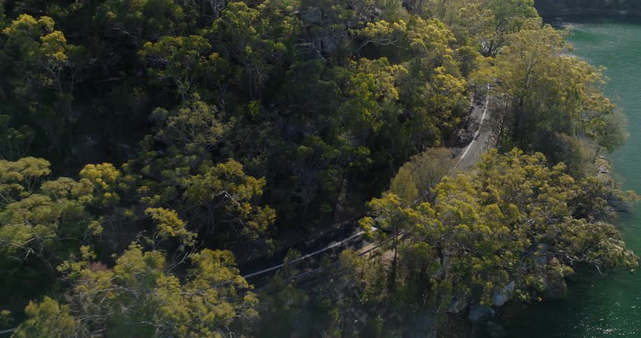 Narrow road winding through a dense green forest next to a body of water and a car traveling