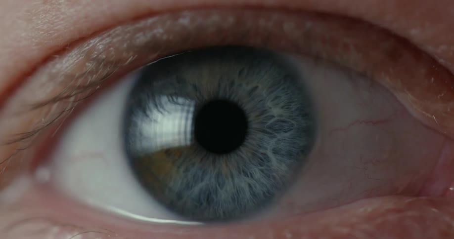 A closeup of a human eye
