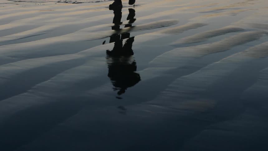 Silhouette and shadow of a man walking on wet beach sand