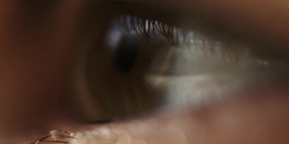 Extreme closeup of a persons brown eye highlighting eyelashes