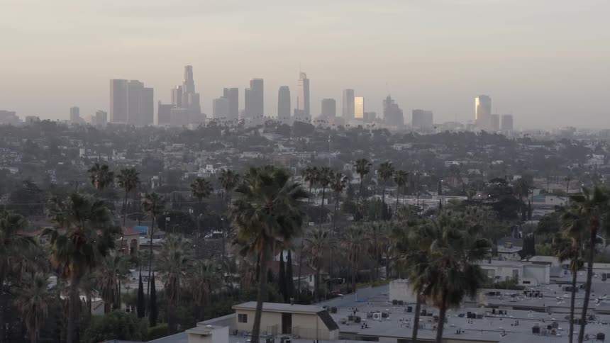 A wide view of a city with palm trees and tall skyscrapers in the background