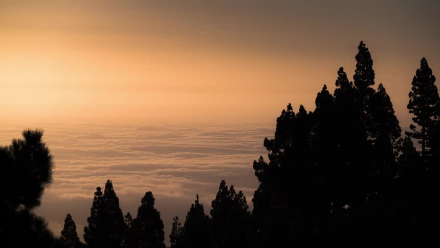 Sunrise with orange gradient sky and silhouette of trees and a mountain with clouds passing by