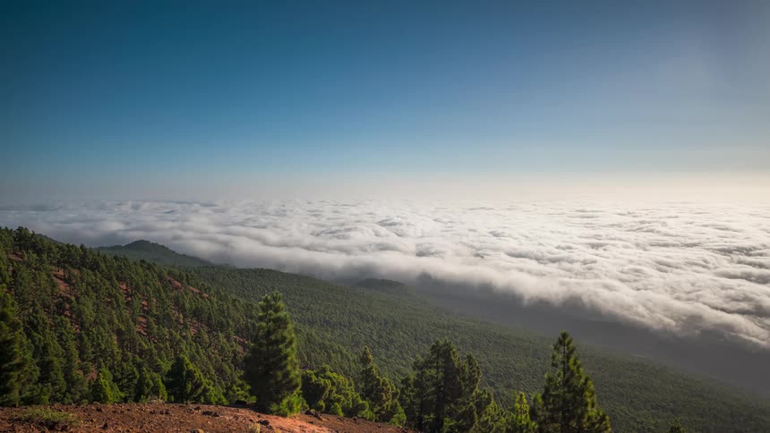 Clouds atop trees and mountainous terrain in the foreground