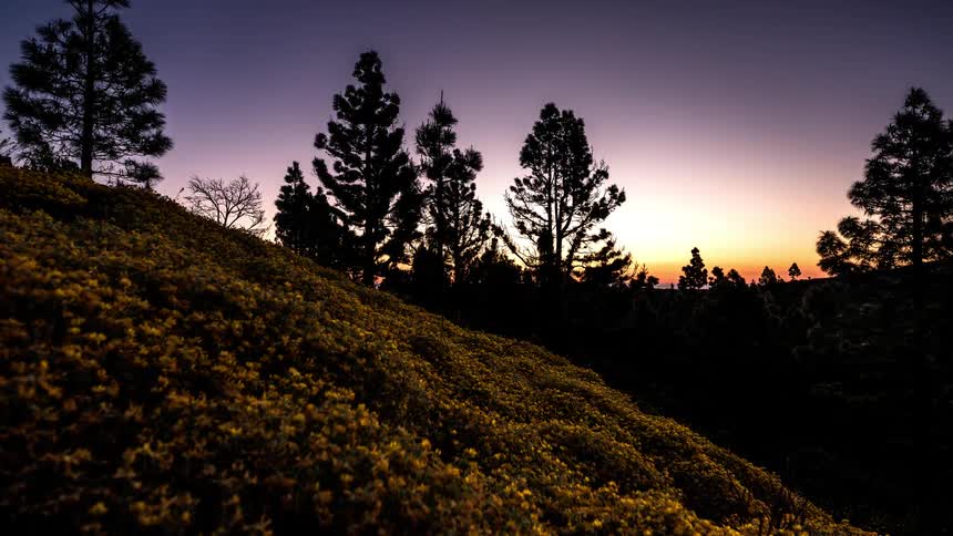 Night changes to day as the stars give way to the sun over a mountain dotted with trees