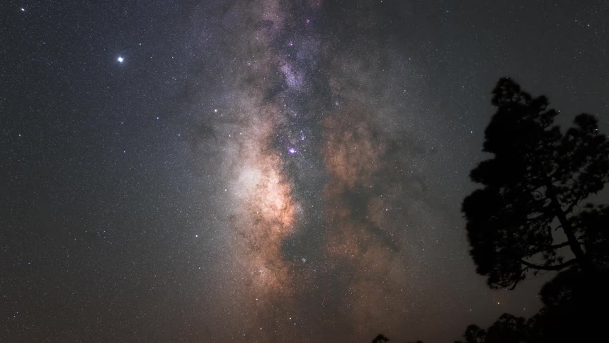 Night view of the starry sky with the milky way visible and trees in the foreground