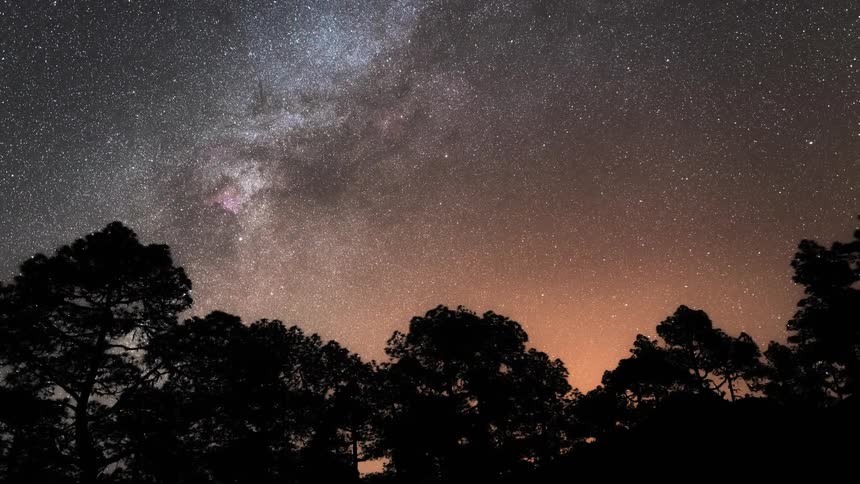 The night sky adorned with stars and the milky way with silhouetted trees