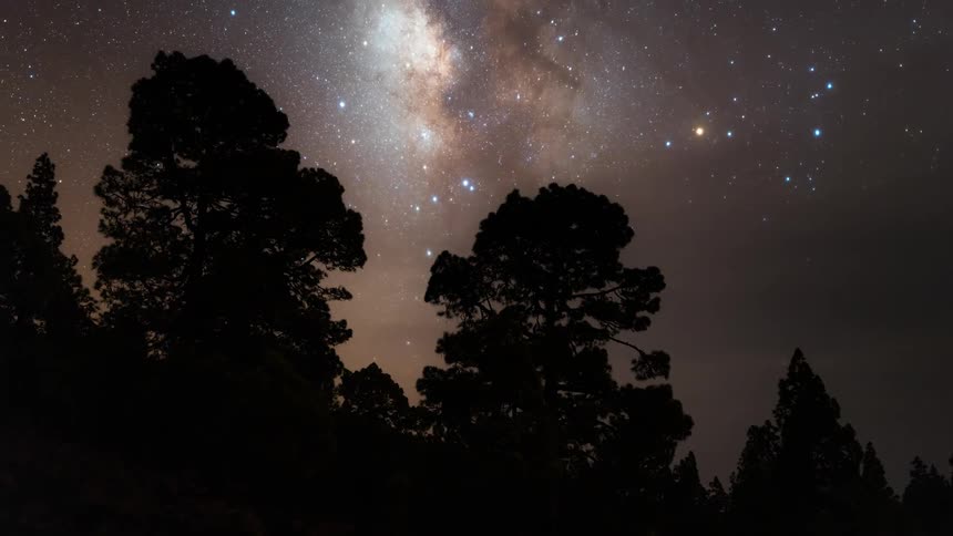 Midday clouds give way to dusk and eventually a night sky visible over a forest