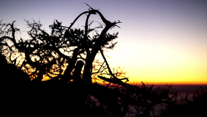 Time lapse of the sun setting with the silhouette of branches and twigs in the forefront