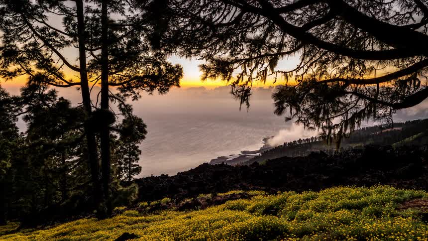 A wide angle show of a lake seen through trees past a grassy sunny field from morning to night with mist and clouds coming in from over the water
