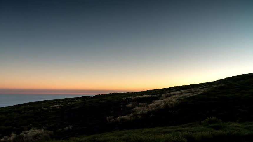 Dawn light illuminates coastal slope revealing grass and flowers