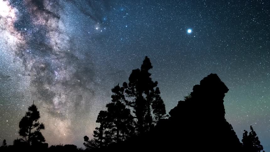 Starry night sky with silhouettes of trees and the dawning day