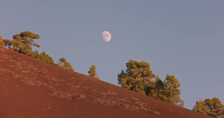 The moon rises at dusk over a reddish hill with sparse trees