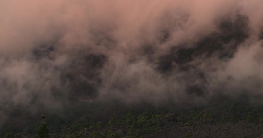 Aerial scenery of low and dense clouds passing above mountains with greenish forest