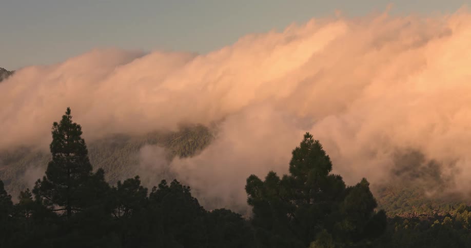Hazy clouds passing above a forest
