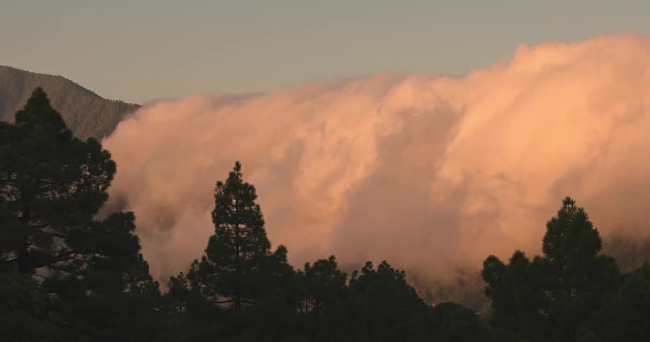 Sea of clouds passing over mountains with tree silhouette
