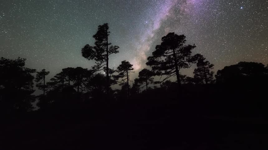 Natural landscape of a forest against a dusk sky and stars appearing