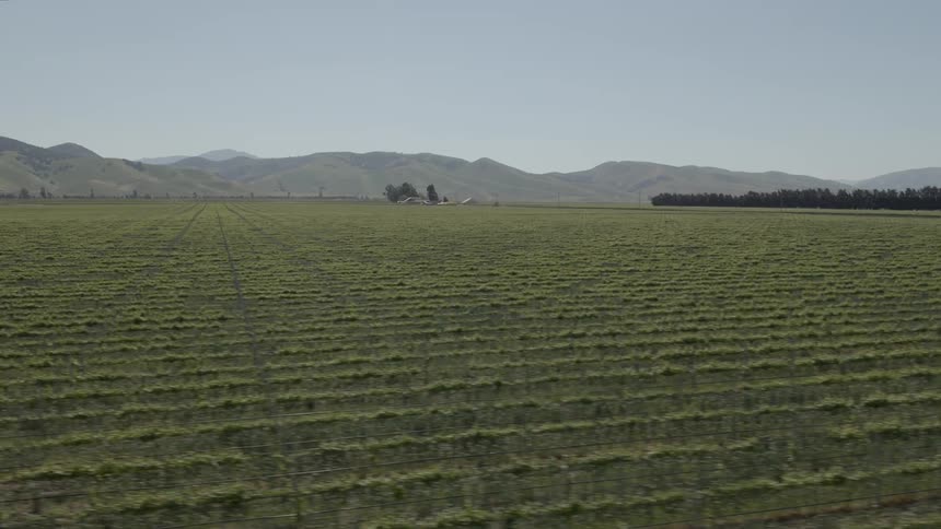Rows of crops grow on a farm at the base of a mountain