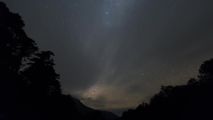 Starry night sky with silhouette of trees around