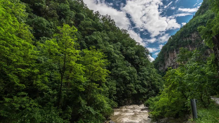 Time lapse view of a river flowing through the forest