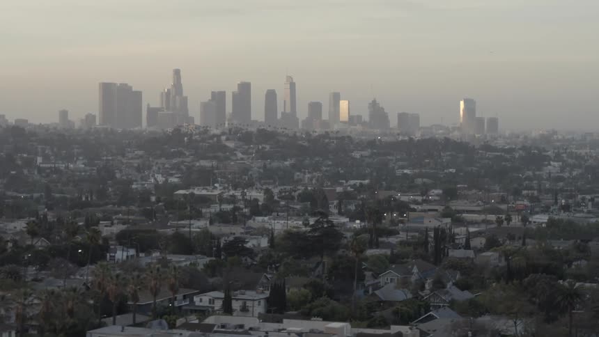 Palm trees and buildings in a smoggy city