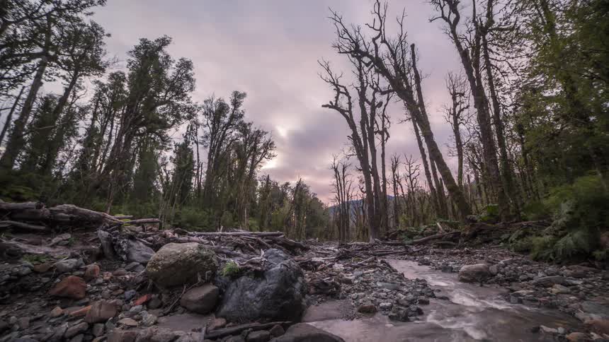 Stream flows past deciduous and evergreen trees during fall while the sky turns red over a mountain in the distance