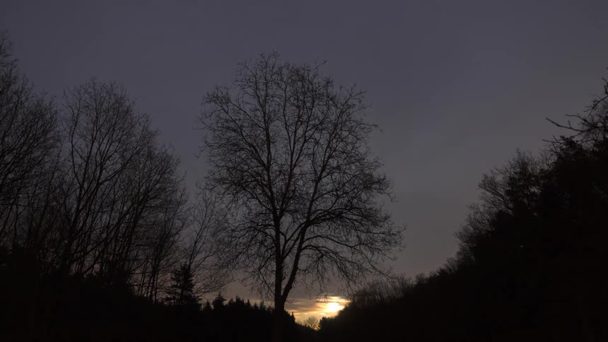 Time lapse of clouds rolling over the silhouette of bare trees at sunset