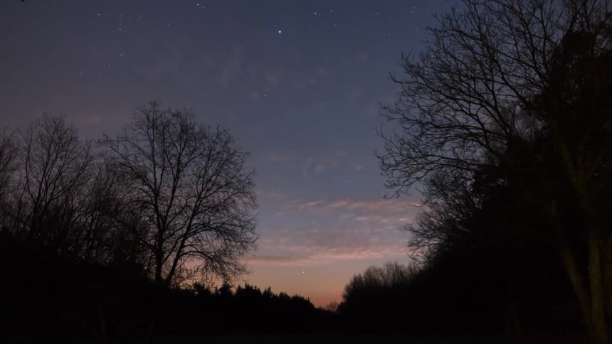 Silhouette of a forest with the day dawning