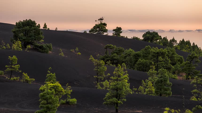 Time lapse of clouds passing behind a mountain with pine trees at sunset