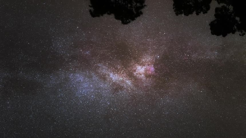 View of a night sky with silhouetted trees in the foreground and a starry sky with the milky way