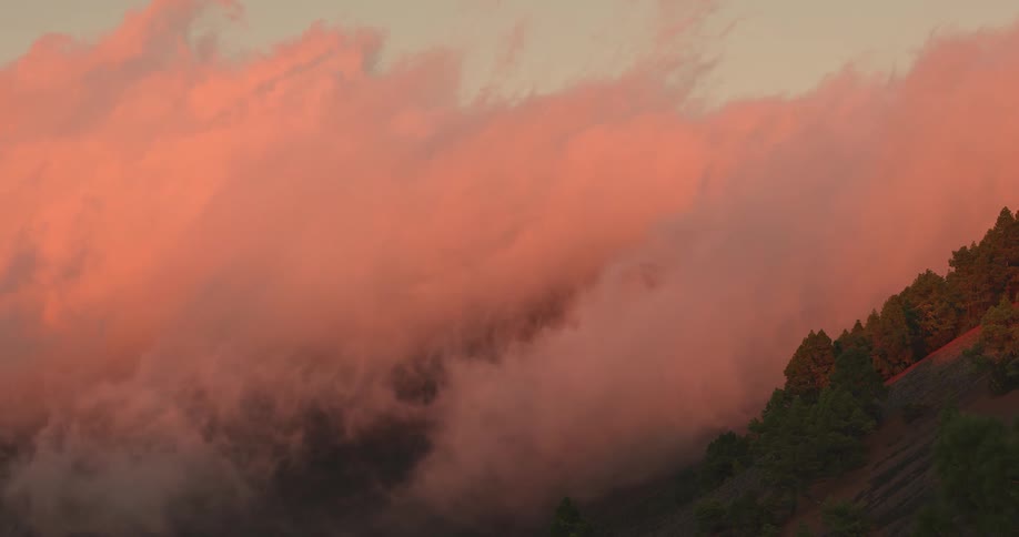 A lot of smoke rolling over a grassy tree filled area